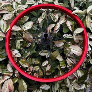 Red BMX Freestyle Wheel Rim 36 Spoke 20 inch Used